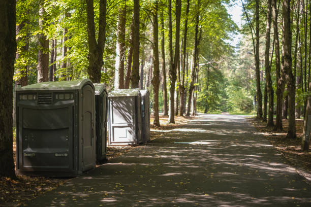 Trusted El Valle De Arroyo Seco, NM porta potty rental Experts